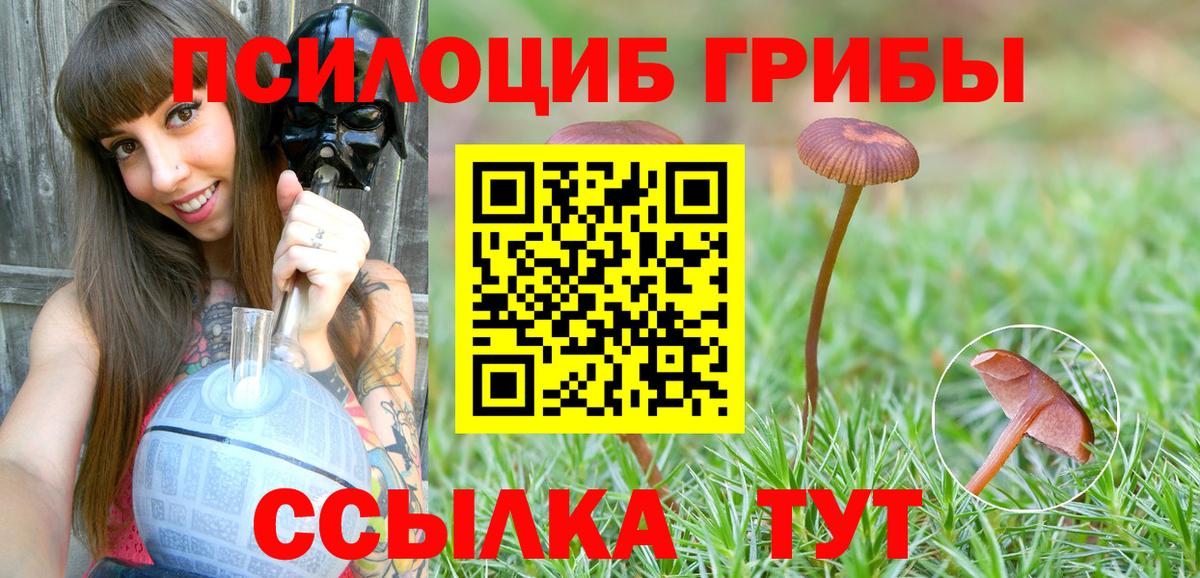Лабинск  Псилоцибиновые грибы Cubensis  Вход с VPN 
